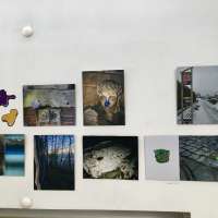 Knowledge of Visual Actions and Structures Studio obraz 4 z 20