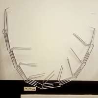 Transdisciplinary Actions Studio obraz 16 z 28