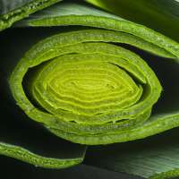 Photography and image edition	 obraz 5 z 18