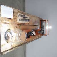 Sculpture 3 Studio obraz 1 z 36
