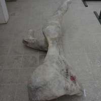 Sculpture 1 Studio obraz 22 z 100