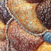Art of Fibre Studio obraz 21 z 24