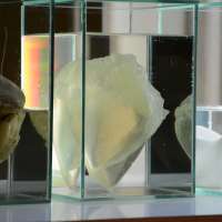 Sculpture 1 Studio obraz 50 z 100