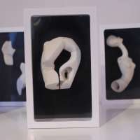 Sculpture 1 Studio obraz 68 z 100