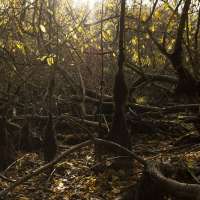 Basics of Documental Photography obraz 25 z 38