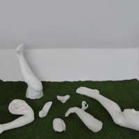 Sculpture 2 Studio obraz 14 z 74