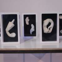 Sculpture 1 Studio obraz 66 z 100