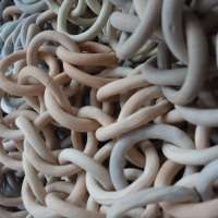 Sculpture 2 Studio obraz 2 z 74