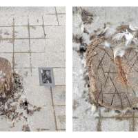 Sculpture 2 Studio obraz 67 z 74