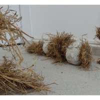 Sculpture 2 Studio obraz 72 z 74