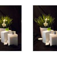 Basics of Digital Photography obraz 6 z 17