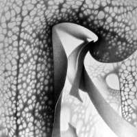 Studio Drawing Studio obraz 16 z 21