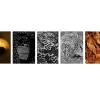 Basics of Documental Photography obraz 26 z 38