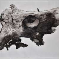 Experimental Drawing  obraz 39 z 45