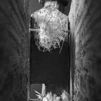 Elements of Scenographic Design in Interior Architecture obraz 30 z 43