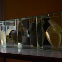 Sculpture 1 Studio obraz 51 z 100
