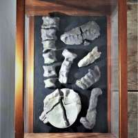 Sculpture 3 Studio obraz 5 z 36