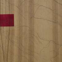 Experimental Drawing  obraz 18 z 45