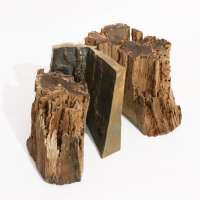 Medallic Art and Small Sculptural Forms Studio obraz 6 z 27