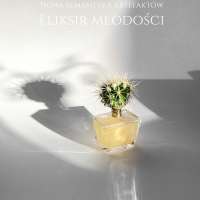 Elements of Scenographic Design in Interior Architecture obraz 4 z 43