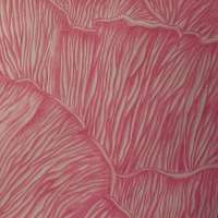 Experimental Drawing  obraz 16 z 45