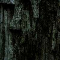 Basics of Documental Photography obraz 24 z 38