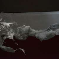 Sculpture 1 Studio obraz 56 z 100