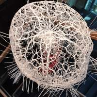 Art of Fibre Studio obraz 6 z 24
